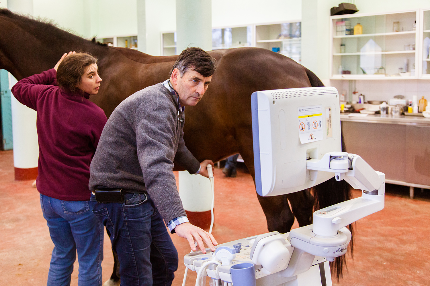 AUXILIAIRE VETERINAIRE