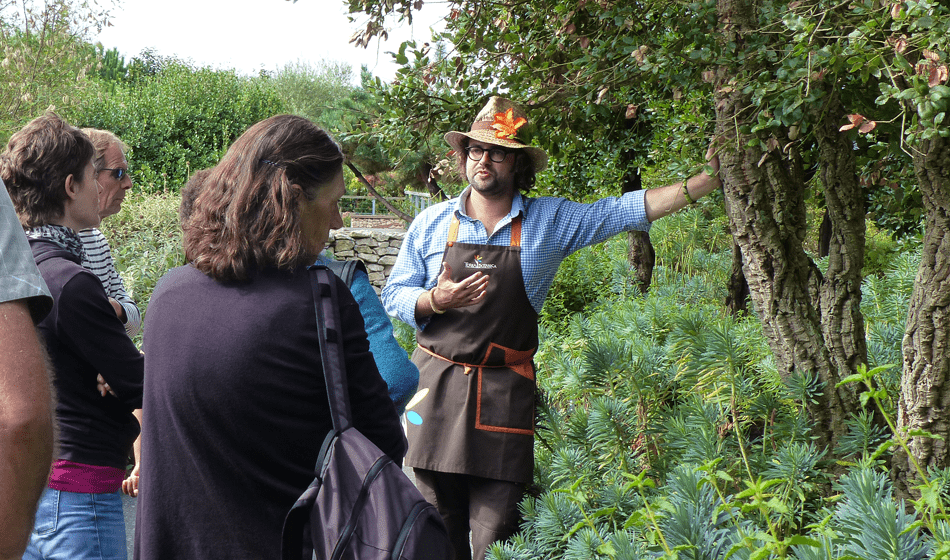 Animateur de jardins