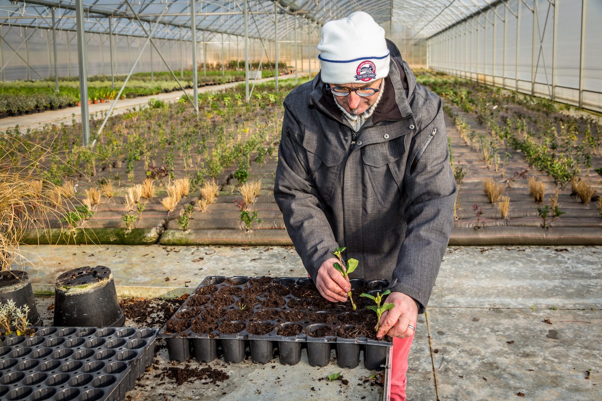 Horticulture et pépinières