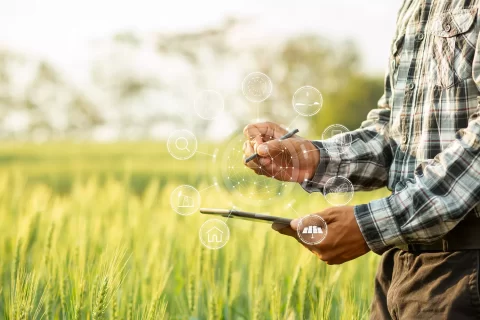 Ingénieur agronome