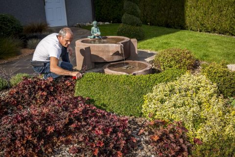 Paysage, jardins et espaces verts