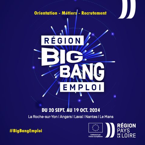 BIG BANG EMPLOI