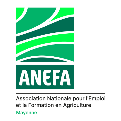 Logo Anefa Mayenne