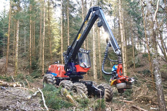 conducteur d’engins forestiers