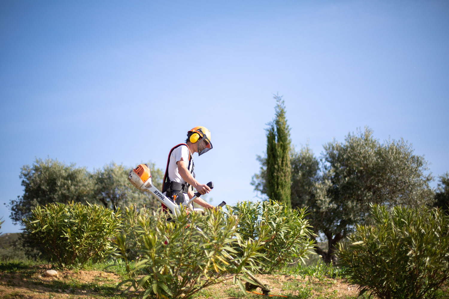 Jardinier paysagiste en entretien